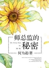 师总监的秘密